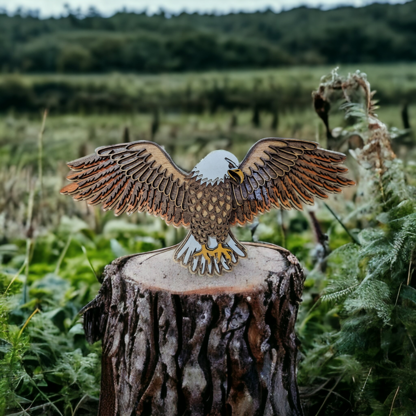 Bald eagle